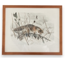 Gravure "Renard dans la neige" signée RIME