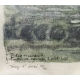 Gravure "Famille de castors" signé Robert HAINARD