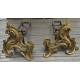 Paire de chenets Louis XV en bronze doré et fonte