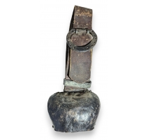 Toupin avec collier fer à cheval