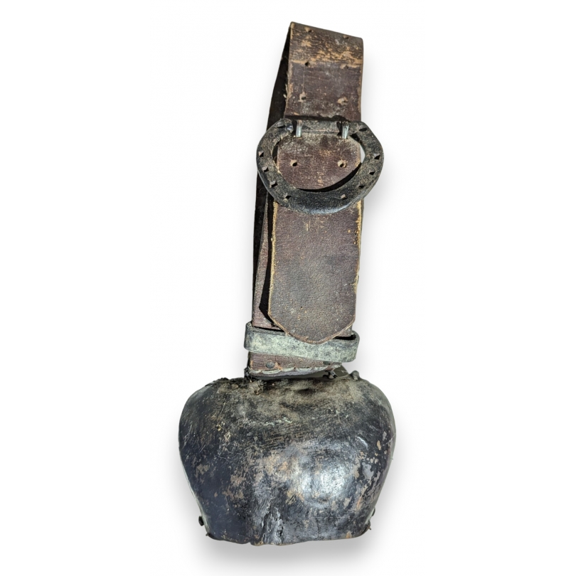 Toupin avec collier fer à cheval