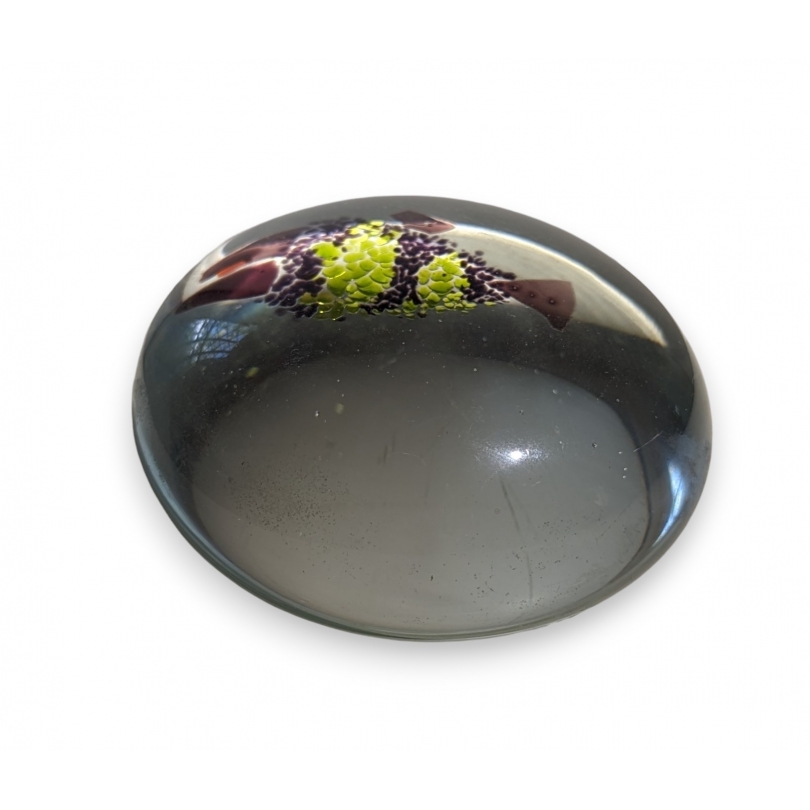 Glass fish paperweight, signed MERRI -91