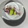 Glass fish paperweight, signed MERRI -91