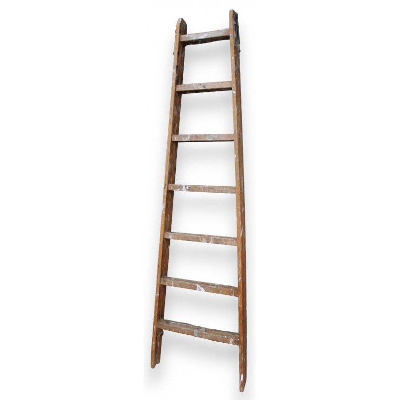 7-step ladder