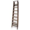 9-step ladder
