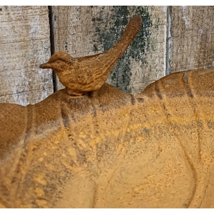 Cast-iron bird bath
