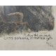 Gravure "Biche et faon" signé Robert HAINARD