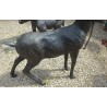 Chamois taille nature en bronze