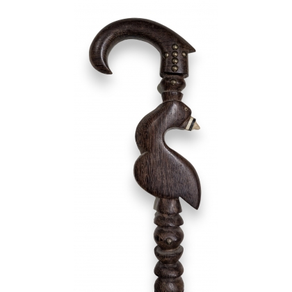 Corbin walking stick, carved from wood, Parrot design