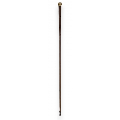 Umbrella handle with an ivory knob