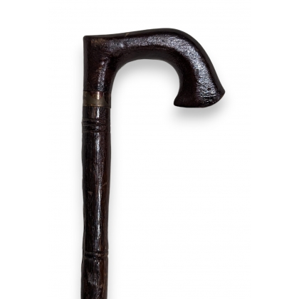Walking stick with a wooden handle