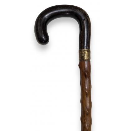 Walking stick with a horn handle