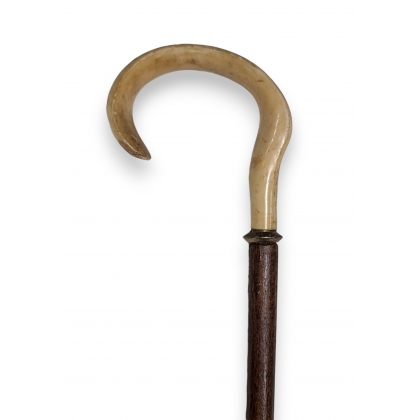 Corbin bone walking stick