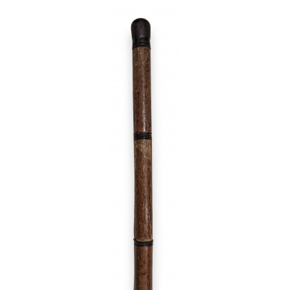 Toulouse-Lautrec walking stick