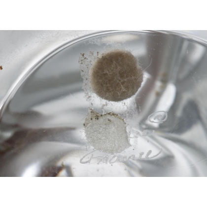 Sculpture en verre "Deux colombes" Signé LALIQUE