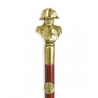 Canne avec pommeau Napoléon en bronze