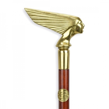 Walking stick with a bronze emblem knob