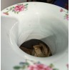 Vase de Canton décor Scène d'intérieur