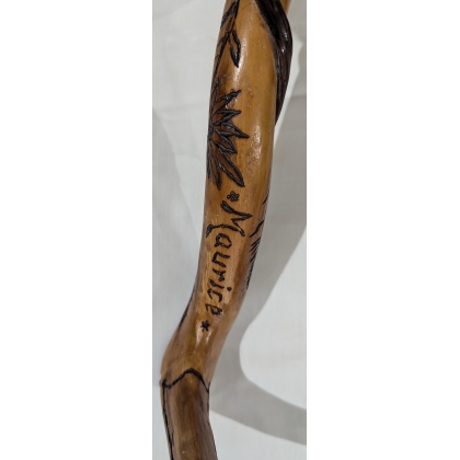 Canne monoxyle poignée Oiseau en bois sculpté