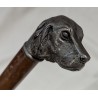 Canne pommeau tête de chien en étain