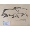 Engraving entitled ‘Two Wild Boars’, signed RH