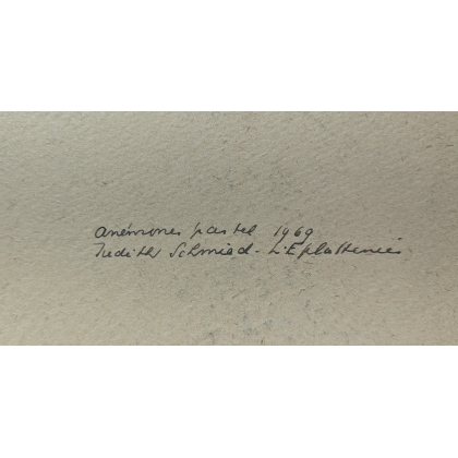 Pastel "Anémones" signé J. SCHMIED-L'EPLATTENIER