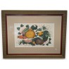 Peinture \"Fruits\" sur papier de riz