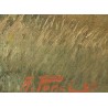 Tableau \"Eisten\" signé A. PONCI 27