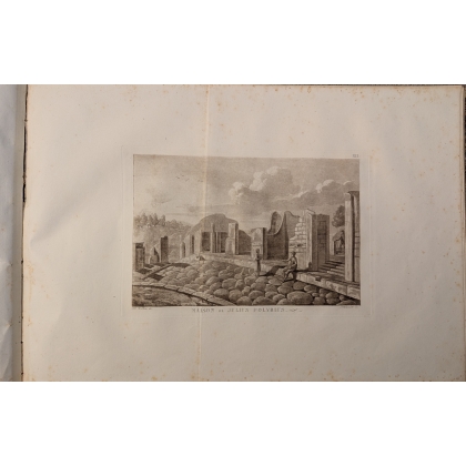 Livre \"Ruines de Pompeii\" par Wilkins