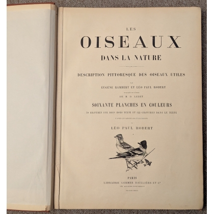 Livre \"Les oiseaux dans la nature\" par Rambert