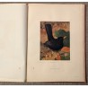 Livre \"Les oiseaux dans la nature\" par Rambert