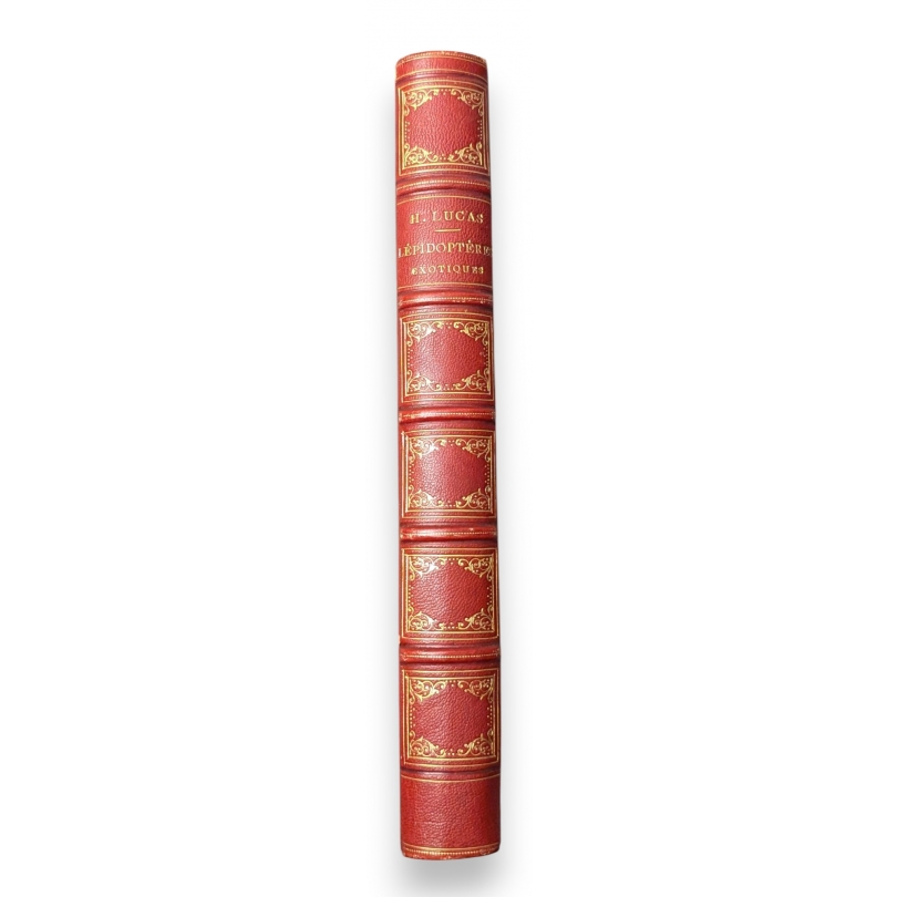 Livre \"Lépidoptères Exotiques\" par H. Lucas