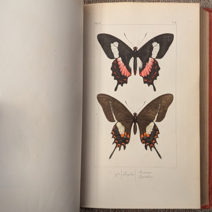 Livre \"Lépidoptères Exotiques\" par H. Lucas