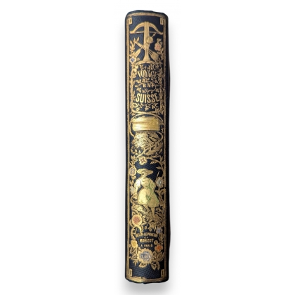 Livre \"Voyage en Suisse\" par BÉGUIN