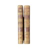 Livre \"Lettres sur la Suisse\" par RAOUL-ROCHETTE