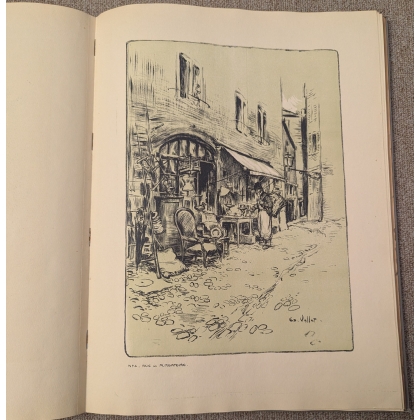 Livre \"Album Genevois 1901\"