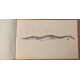 Livre "15 planches poissons" par ESCUYER
