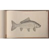 Livre \"15 planches poissons\" par ESCUYER
