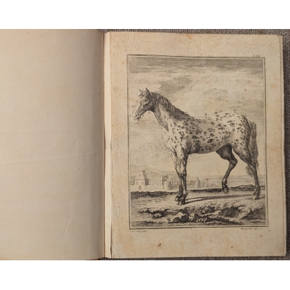 Livre \"104 planches animaux\"