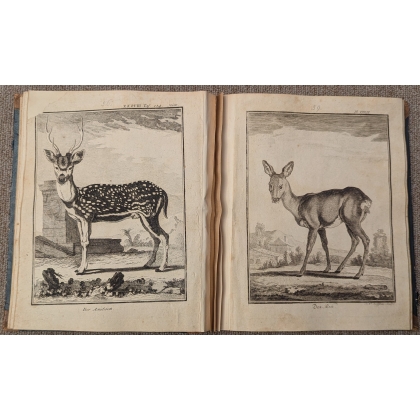 Livre \"104 planches animaux\"