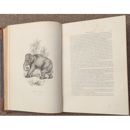 Livre "Le jardin des plantes" par BERNARD
