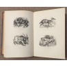Livre "Le jardin des plantes" par BERNARD