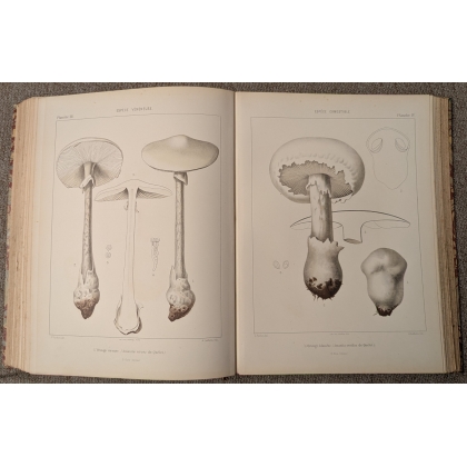 Livre \"Atlas des champignons\" par Ernest Roze