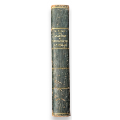 Livre \"Anatomie et physiologie animales\" par Pizon