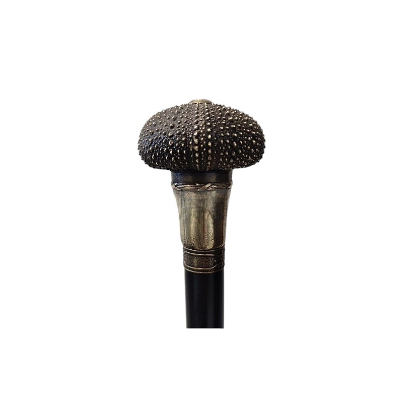 Walking stick with a black ‘Sea Urchin’ knob