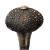 Walking stick with a black ‘Sea Urchin’ knob
