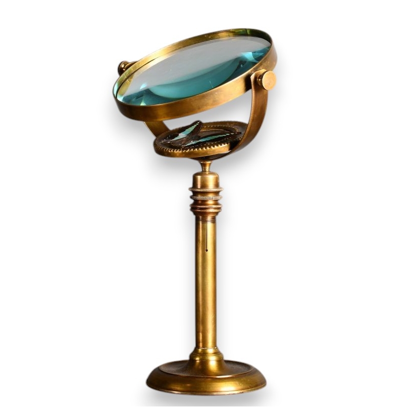 Entomologist’s Magnifying Glass
