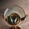 Entomologist’s Magnifying Glass