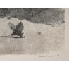 Gravure "La pipistrelle boit" signée HAINARD