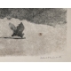 Gravure "La pipistrelle boit" signée HAINARD